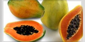 Papaya Pulp