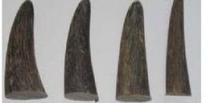 Buffalo Horn Raw Toggle