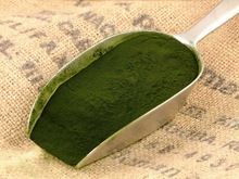 Wheat Grass Powder