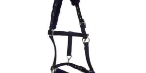 WEBBING HALTERS