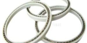 PTFE Seals