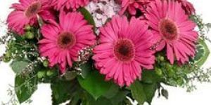 Appealing Bunch of Pink Gerberas