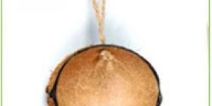 Coconut Shell Bird Feeder