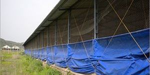HDPE Poultry Curtain Tarpaulins