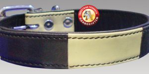 Two Tone Leather Dog Collar