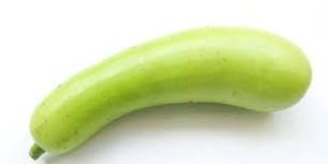 Bottle Gourd