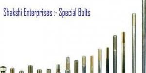 Special Bolts