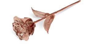 Copper Plated Rose