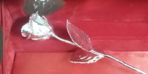 Silver Plated Rose