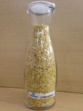 Corn Germ