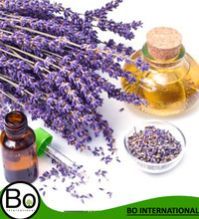 Therapeutic Grade Lavandin Essential Oil