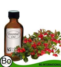 Wintergreen Oil