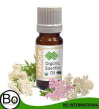 Yarrow Essential Oil