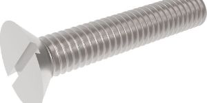 Slotted Screws