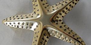 Star Fish Door Knocker