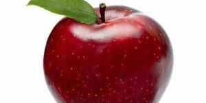 Fresh Red Apple