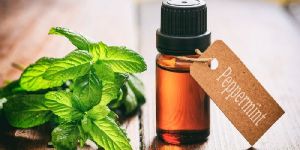 Peppermint Oil Ex Mentha Piperita (BP/EP/USP)
