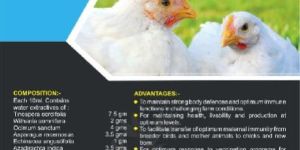 Immucure-P Supplement