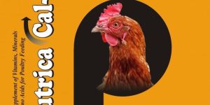 Nutrica Cal-P Supplement