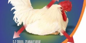 Nutrica-Sorb Supplement