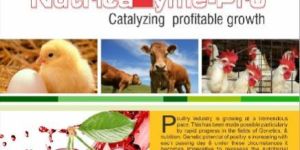 Nutrica Zyme Pro Supplement