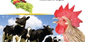 Nutrivita-H Supplement