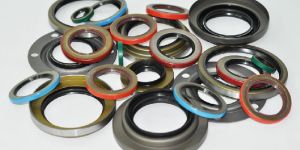 BINBOW OILSEALS