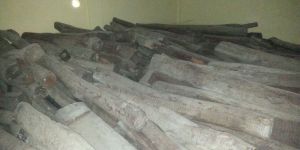 Redsanders Wild Life Wood Logs