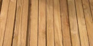 Teak Wood Beeding