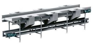 Sorting and Fruit Cutting Conveyor