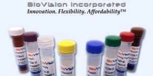 Nuclear and Cytoplasmic Protein Extraction Kit