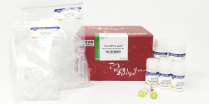 Plasmid DNA Purification Kit