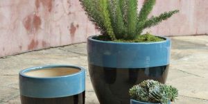 Aqua Planter
