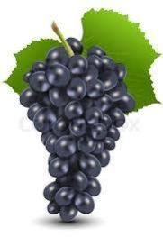 Black Grapes