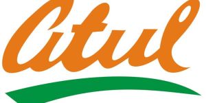 Atul Polygrip Solution Services