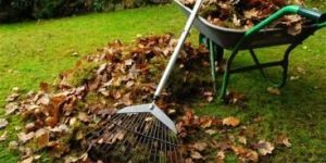 Garden Maintenance Service