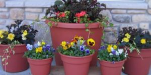 Pots Cement and Plastic