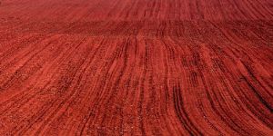 Red Soil