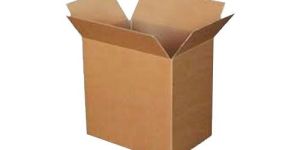 Corrugated Carton Box