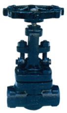 Forged Steel Gate Valve