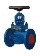 Globe Valve