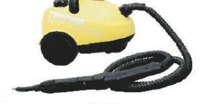 Steam Cleaners
