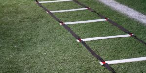 Training Ladder Rainbow