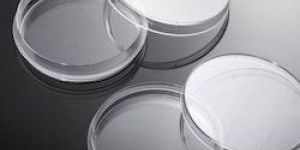 Tissue Culture Dishes