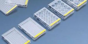 Tissue Culture Multi Well Plates