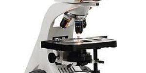 Trinocular Microscope