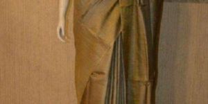 Pure Tussar Munga Sarees