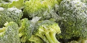 Frozen Broccoli
