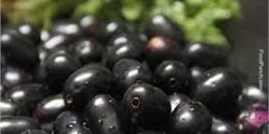 Fresh Jamun