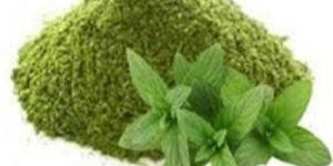 Mint Powder